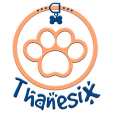 Thanesix