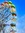 Ally | 5 comments