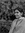 Sukanyaa (justanotherlitfan) | 2 comments