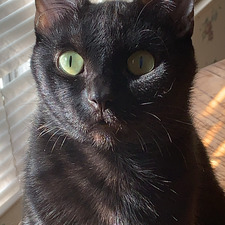 Roni