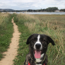 Phoebe Gardner-Smith