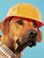 Roofer