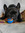 member photo member photo