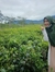 Anisa A...