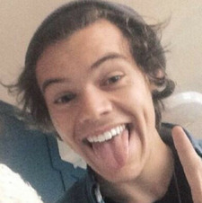 Harry_Sunflower_