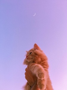 :)