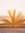 Bookaholic