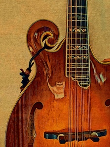 Elaine Hurst