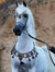 Zedona