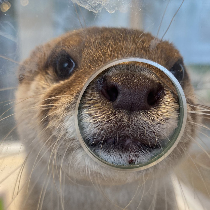 Goodreads profile picture for @namjoon