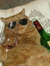 marcelle