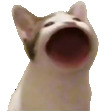 AJ
