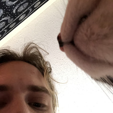 damnjonesy