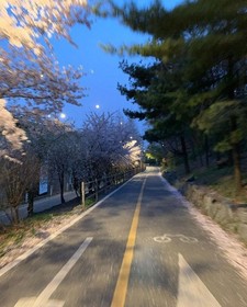 نورهان عبد النعيم