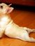 Ailin