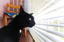 Cath Y. (riso.allegro)