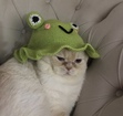 mischka