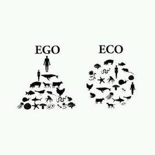 Ecocentric