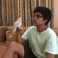 Aadil Poonawala