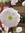 member photo member photo