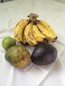 Ibsaa W