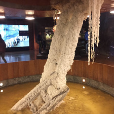 Michael O’ Riordan 