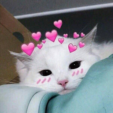 •:*´¨binx ¨`*:•