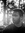 Markus | 16 comments