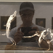 Rokas Steponavičius