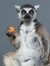 Lemur