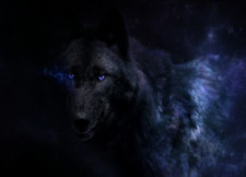 Чёрная Волчица