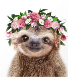 Adalynn Grace Ebejer