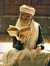 Nour Chafaa