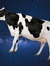 Simple Cow