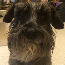 Cindy Schlabach Raber