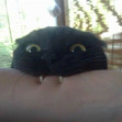 Micu
