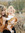 Winter Olivia Kendell (winterolivia) | 1 comments