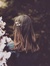 Frances...