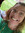 Patty Rose (pattyrose31)