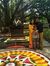 Ushas Arun