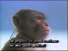 cuchuflí con chispas