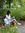 Mo Melody | 3 comments