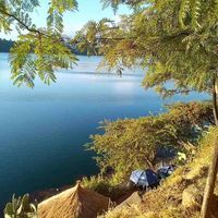 Mulugeta Walelign