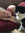 Katy (katyroy) | 1 comments