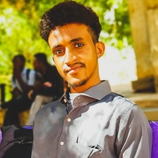 Abdullah A.  Elsheikh 