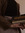 sid (icarusxfallss) | 11 comments
