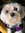 member photo member photo