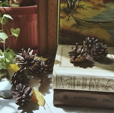 diary.of.a.hobbit 