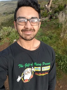 Rameez Sultan