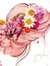 Israa